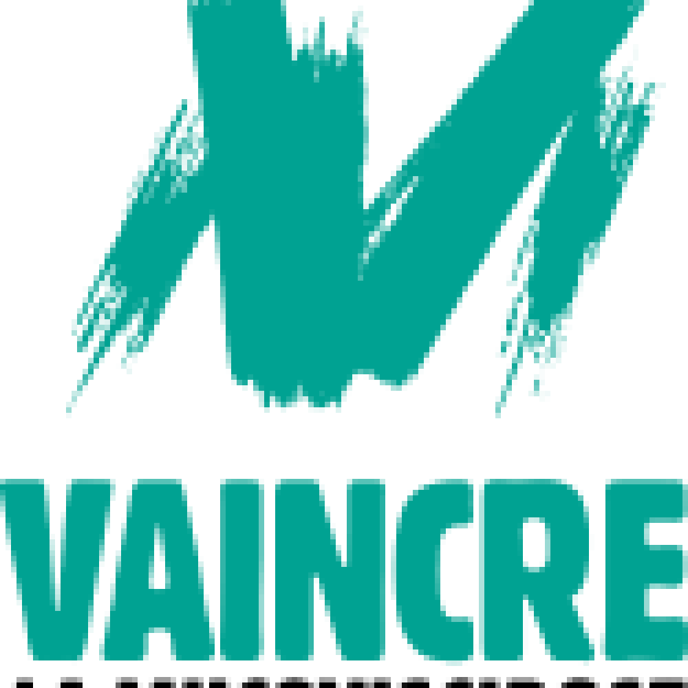 vlm_logo